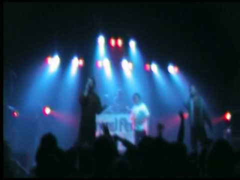 Stieber Twins live in Münster (königsklasse vol.1)