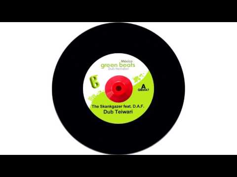 The Skankgazer feat. Dub Alta Fidelidad - Dub Teiwari