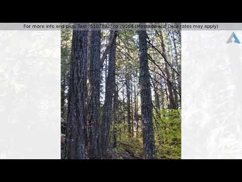 Priced at $225,000 - Unkown, Snowden, WA 98602