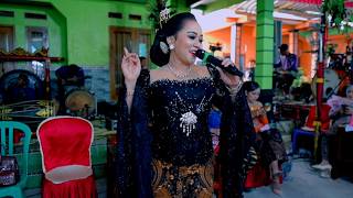Download lagu FULL ALBUM DANGDUT // CS. SUPRA NADA // YATNO SND duwe gawe mp3