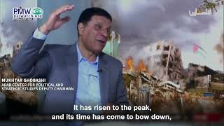 Egyptian academic says America is in decline