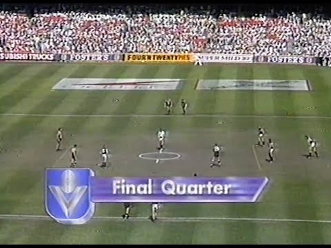 1987 Reserves Grand Final - Carlton v St Kilda