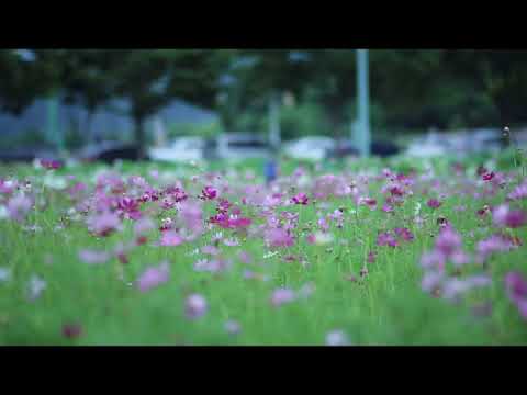 FLYING OVER VIETNAM 4K UHD Relaxing Music Along With Beautiful Nature Videos 4K 8K Video Ul