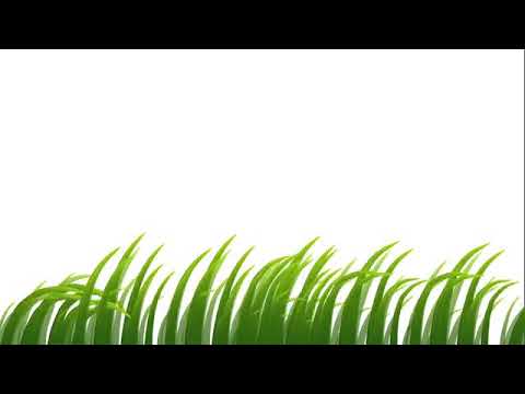 Cartoon Grass Background