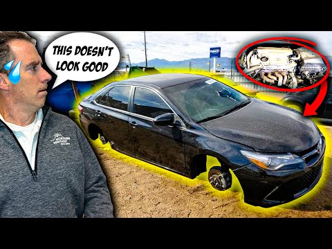I bought a BIOHAZARD Toyota Camry from Copart for $3,500