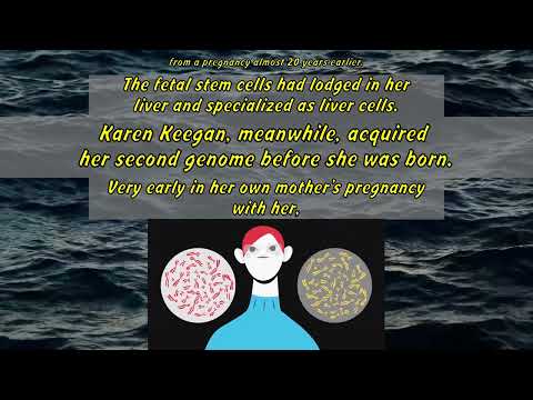 Kayla Mandel Sheets: You could have a secret twin (but not the way you think)