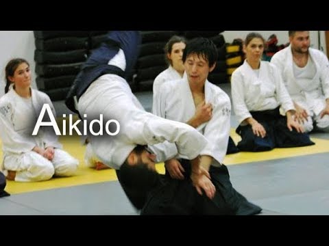 Dynamic with soft Aikido in Greece - Shirakawa Ryuji shihan
