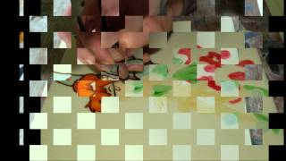 Boulangerie Mitterrand-Indochine peter pan