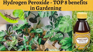Hydrogen Peroxide for plants - 8 Uses in Organic Gardening