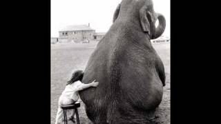 raf camora  - nächster stop zukunft feat chakuza