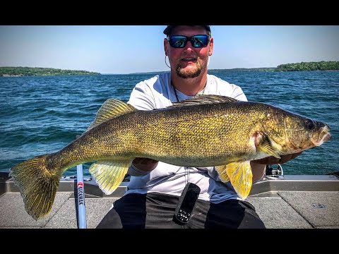 Catch MORE Walleyes for MN Opener 2022 (Tips & Strategies)