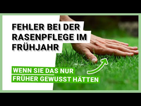 8 mistakes in lawn care in spring