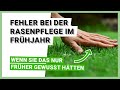8 Fehler Bei Der Rasenpflege Im Frühjahr