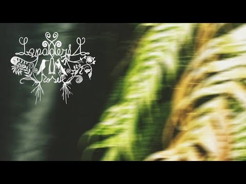 Lapageria Rosea - Disinto (Single, 2023)