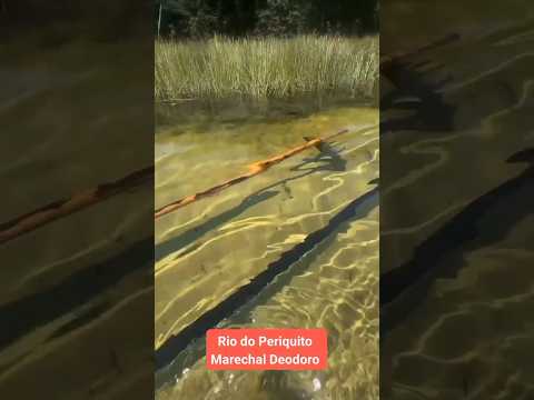 Riacho do periquito em Marechal Deodoro #alagoas #entretenimento #nordeste #viagens #turismo