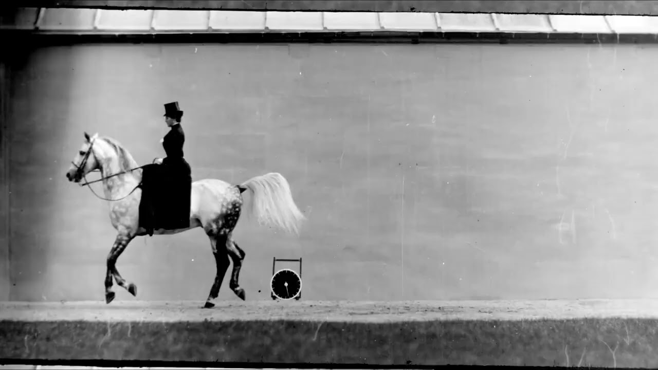 CHEVAL BAI, MONTE PAR THERESE RENTZ, PETIT GALOP 1899 Silent film Étienne Jules Marey
