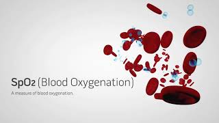 Oxímetro Veterinário iSpO2