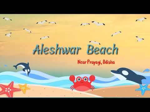 Alshwar Beach||26 December 2020 #shorts