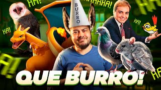 FOMOS BURROS? AS MAIORES MENTIRAS DA NOSSA INFÂNCIA!