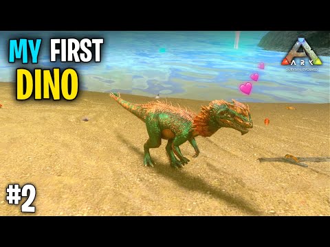 Finally I tame my first DINO