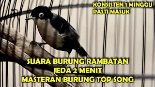 Download lagu SUARA RAMBATAN DORAEMON GACOR, SPEED RAPAT JEDA 2 MENIT mp3 Download lagu SUARA RAMBATAN DORAEMON GACOR, SPEED RAPAT JEDA 2 MENIT mp3