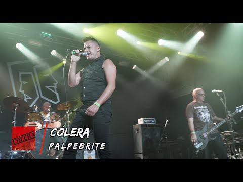 Palpebrite - Cólera