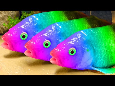 Rainbow fish stop motion cooking - Under Mud ASMR & Oddly Cuckoo - real koi & frogs animals revolt