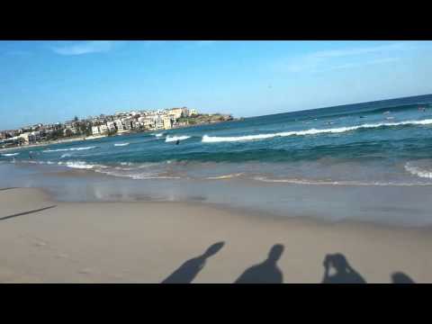 extraordinary beach view- bondi