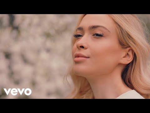 Dancii - The Best Video in Universe