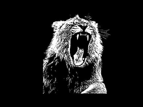 Sander van Doorn vs.  Martin Garrix ft  Example   Animalizer Will Be Coming Back Akisivey Mashup)