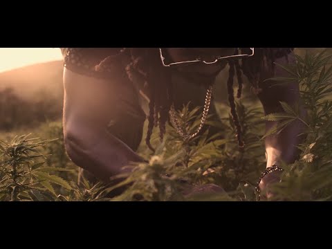 Drastic - Ganja (Official Music Video)