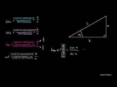 Relazioni tra Funzioni Trigonometriche (Identità Trigonometriche)