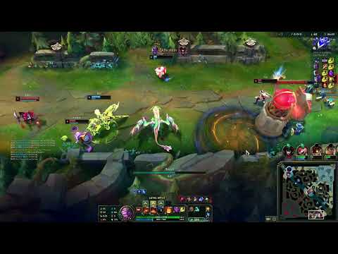 BioPanther Coaching VOD