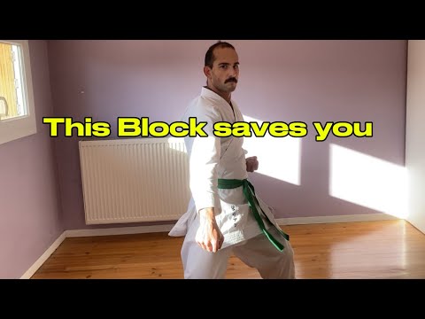 Gedan Baraï : One Move, One Giant Shield 