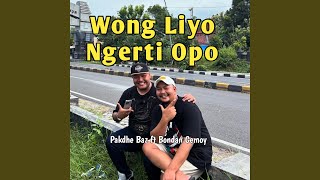 Download lagu Wong liyo ngerti opo mp3 Download lagu Wong liyo ngerti opo mp3