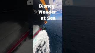 Disney Wonder at Sea! Magic on the Bow #disney #disneywonder #shorts