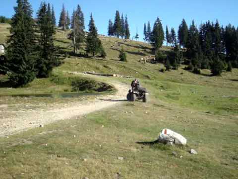 Cuntu 2009-public tinerii din Bolvasnita