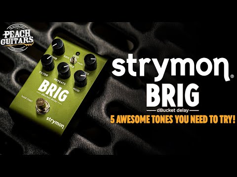Let's Test The BRAND NEW Strymon Brig! | 5 AWESOME Sounds You NEED To Try!