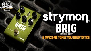 Video thumbnail for Let's Test The BRAND NEW Strymon Brig! | 5 AWESOME Sounds You NEED To Try! by Peach Guitars