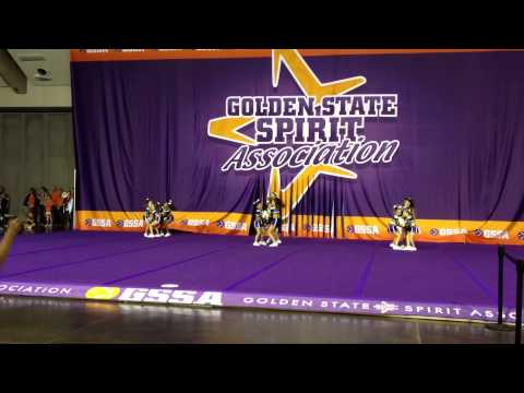 GSSA Competition - ASA Opalite Performance