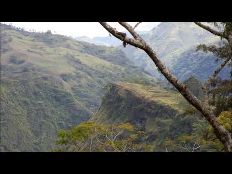 Top 2026 PNG Hits Kerowari Style   Gembogl Band  Papua New Guinea Music @ PNG Music Hub 🇵🇬🔥