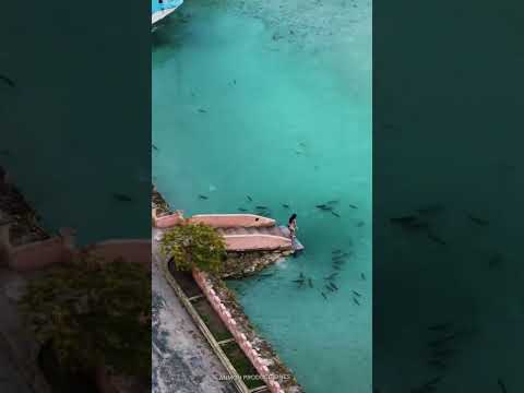 Este no es el típico destino turístico saturado  esto es : un rincón del estado #sucre #venezuela