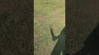 Download lagu Shadow of Death #shorts #dbad #khhi #bigjim #bowie mp3