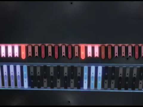 What are introns and exons?