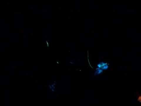 Paul Morrell playing Ratty - Sunrise @ Classique