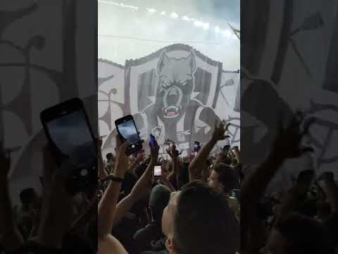 O Botafogo é meu melhor amigo