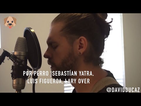 Sebastián Yatra - Por Perro ft. Luis Figueroa, Lary Over (Cover)