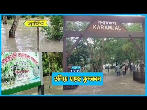 তলিয়ে যাচ্ছে সুন্দরবন, হুমকির মুখে জীববৈচিত্র্য!
