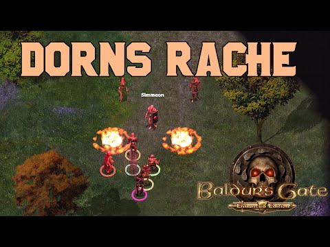 Let's Play Baldur's Gate: Enhanced Edition: Nach Baldur's Tor - Teil 65