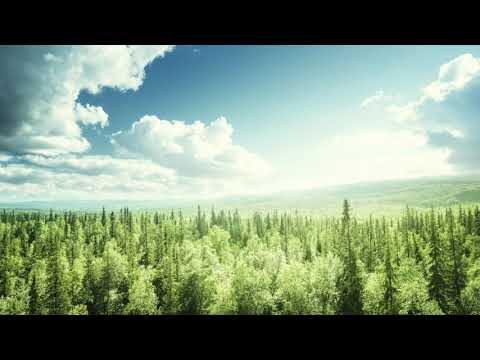 Panikångest - Andningsövningen som verkligen hjälper.